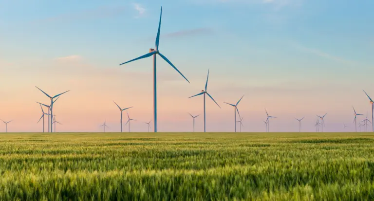 Die grüne Transformation Polens zieht die Aufmerksamkeit der europäischen Wirtschaft auf sich