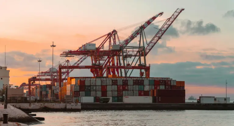 Polnische Containerhäfen im Jahr 2025 – Rekordumschläge und neue Investitionsmöglichkeiten